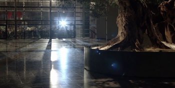 El desafío de Alma El desafío de Alma