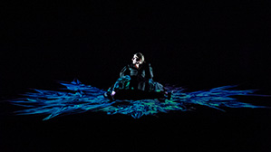 Galerie de photographies