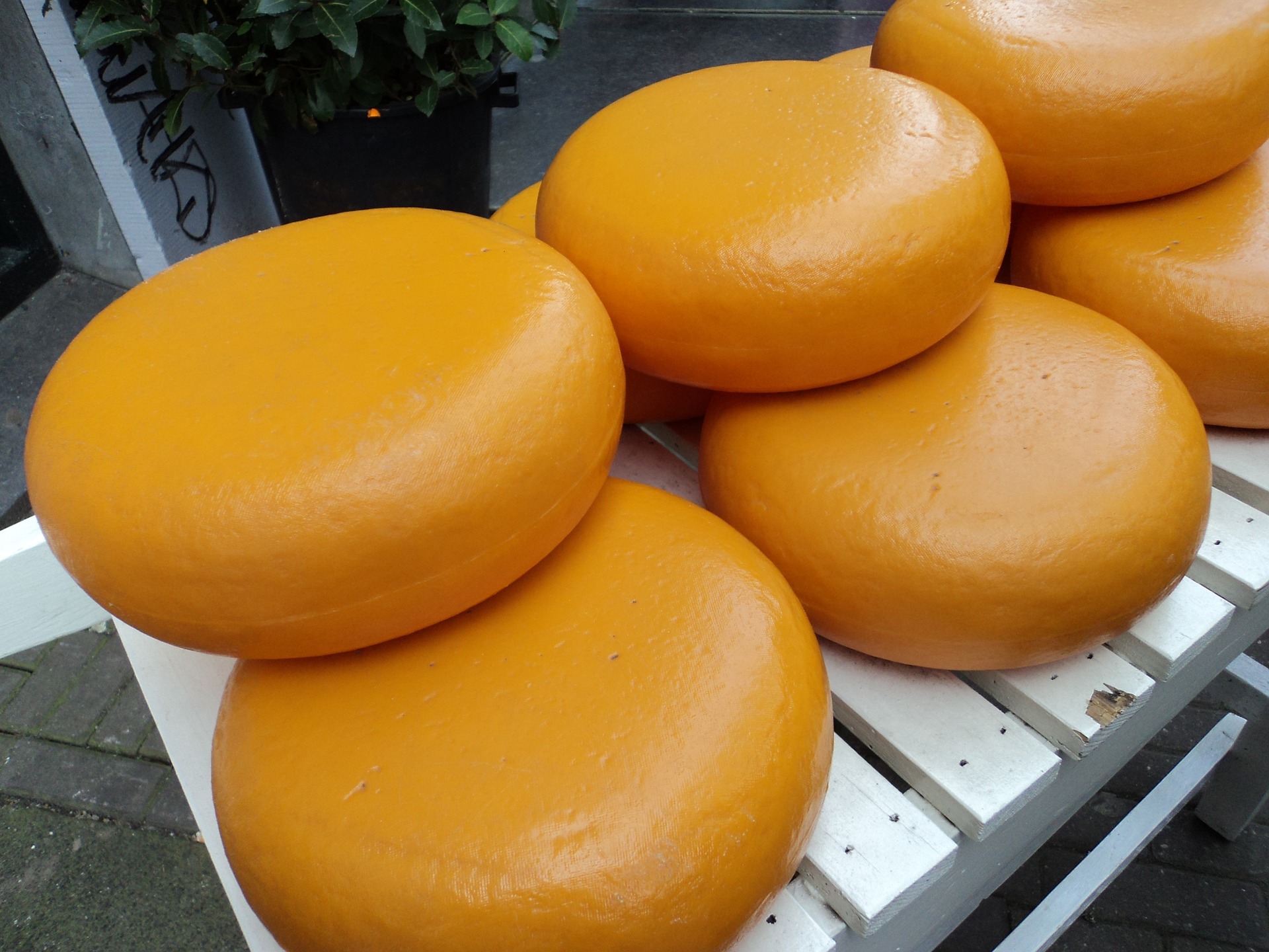Fromage à pâte pressée © Loseitlady / Pixabay  / Étincel www.reseau-canope.fr/etincel