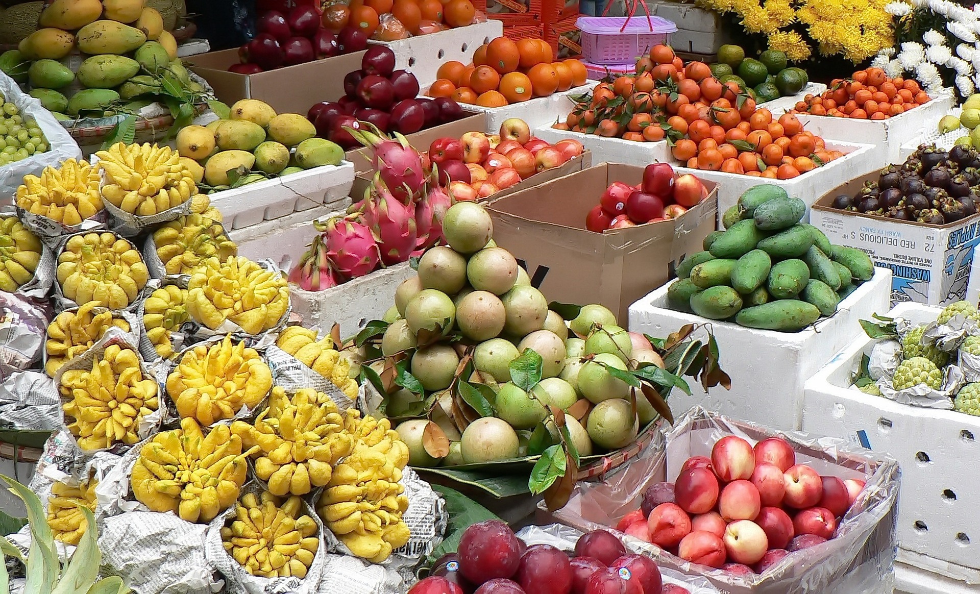 Fruits exotiques