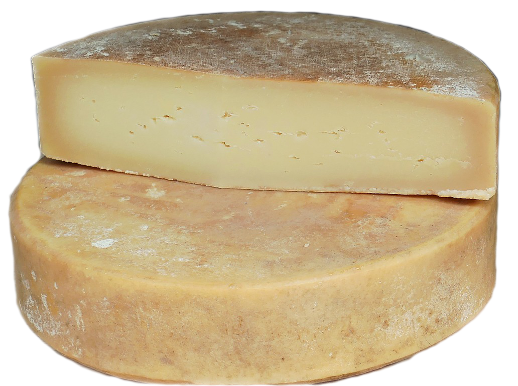 Préhistoire