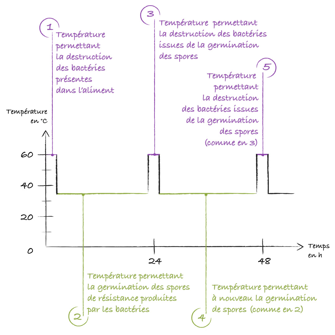 Les cycles de chauffe de la tyndallisation © Maud Guillot / Réseau Canopé / Étincel www.reseau-canope.fr/etincel
