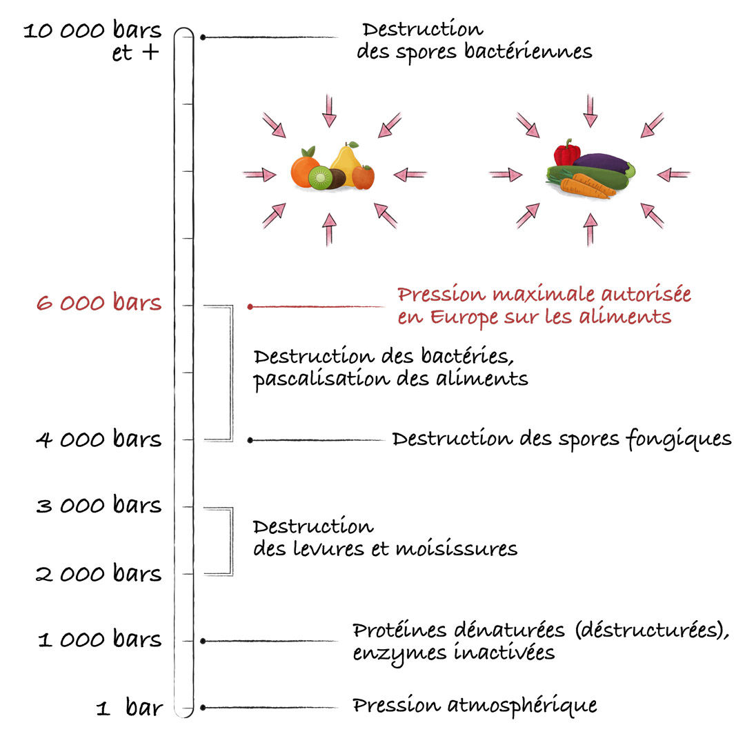Les effets de la pression sur les aliments >© Maud Guillot / Réseau Canopé / Étincel www.reseau-canope.fr/etincel