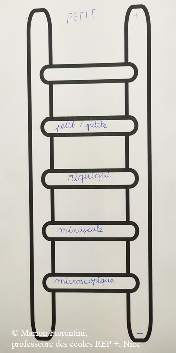 Mots écrits sur les barreaux d’une échelle. De haut en bas : petit/petite, riquiqui, minuscule, microscopique.