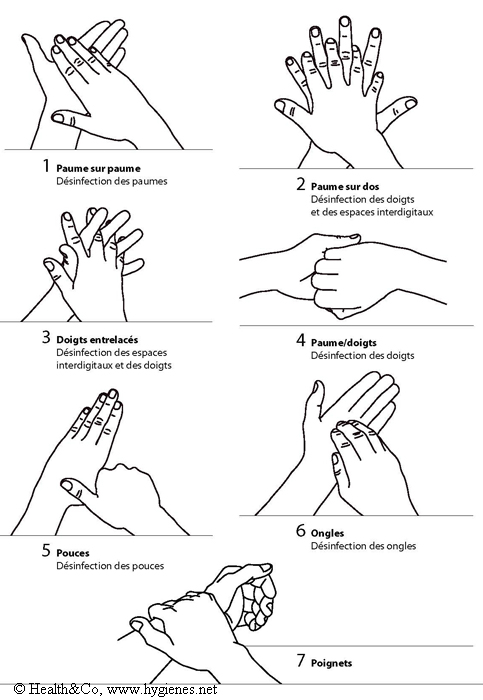 Description : des illustrations accompagnées de textes, montrant le lavage des mains en sept étapes.