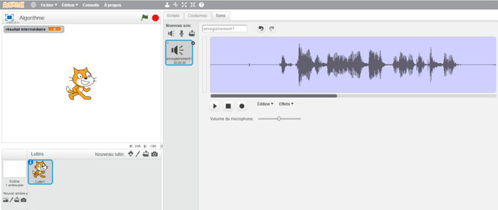 Description : capture d’écran.