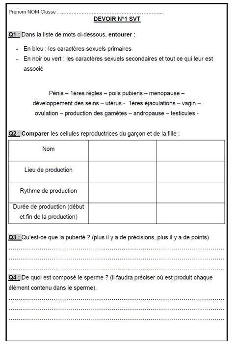Description : fiche adaptée utilisant du surlignement pour les consignes et certains éléments (numéros de questions d’exercices [textes à trous], certains verbes dans ces questions), de la couleur rouge pour les « astuces » et pour le pronom personnel « nous » dans une des activités (astuce : « Le pronom personnel est en rouge quand il faut faire attention à l’orthographe pour que la prononciation soit correcte »), de la couleur bleue pour la plupart des verbes des textes à trous, des couleurs distinctes surlignent les verbes des premier, deuxième et troisième groupes.
