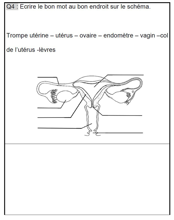 Description : exemples de fiches non adaptées et adaptées en SVT (description trop complexe).