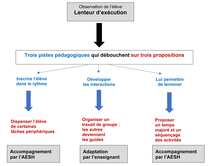 Description du schéma en arborescence : « Observation de l’élève. Lenteur d’exécution » qui donne « Trois pistes pédagogiques qui débouchent sur trois propositions ». Piste 1 : « Inscrire l’élève dans le rythme ». Proposition 1 : « Dispenser l’élève de certaines tâches périphériques ». Choix : « Accompagnement par l’AESH ». Piste 2 : « Développer les interactions ». Proposition 2 : « Organiser un travail de groupe : les autres deviennent les guides ». Choix : « Adaptation par l’enseignant ». Piste 3 : « Lui permettre de terminer ». Proposition 3 : « Proposer un temps majoré et un séquençage des activités ». Choix : « Accompagnement par l’AESH ».
