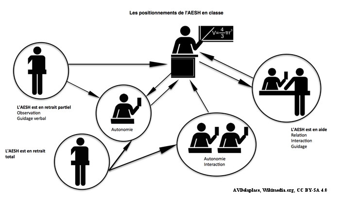 Description du schéma titré « Les positionnements de l’AESH en classe » : trois positionnements de l’AESH et interactions avec les élèves et l’enseignant, indiquées par des flèches. 1. « L’AESH est en aide (relation, interaction, guidage) », interaction réciproque avec l’enseignant. 2. « L’AESH est en retrait partiel (observation, guidage verbal) », liens univoques avec l’enseignant et l’élève (« autonomie »). 3. « L’AESH est en retrait total », liens univoques avec l’élève (« autonomie », l’élève a une interaction réciproque avec l’enseignant) ou avec des élèves (« autonomie, interaction », les élèves ont un lien univoque avec l’enseignant).