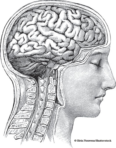 Image illustrative