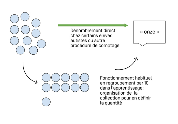 Schéma linéaire en trois étapes. 1. Onze jetons de même couleur disposés aléatoirement. (flèche) 2. Les onze jetons sont ordonnés : deux rangées de cinq et une dernière de un. (flèche annotée : « Fonctionnement habituel en regroupement par 10 dans l'apprentissage : organisation de la collection pour en définir la quantité ») 3. « onze ». Une troisième flèche est entre les étapes 1 et 3, elle est annotée : « Dénombrement direct chez certains élèves autistes ou autre procédure de comptage ».