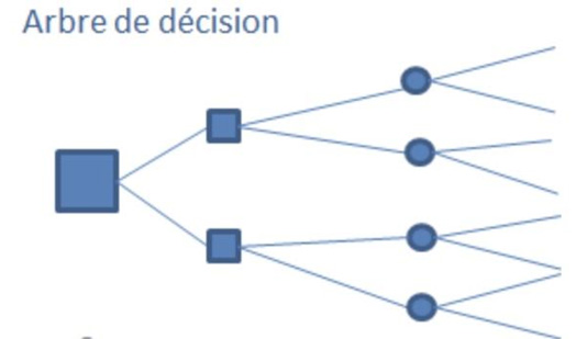 L’image est un arbre de décision vierge.