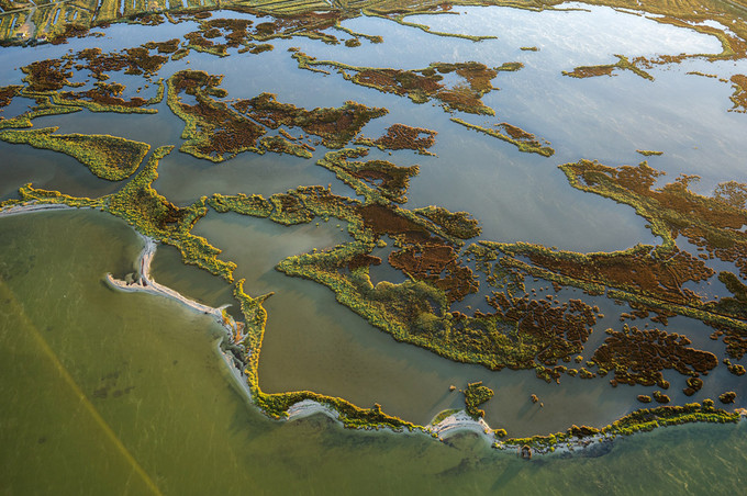 Étang de Vendres (Hérault)