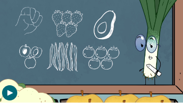 Stop aux déchets, Les fondamentaux - Nouvelle fenêtre