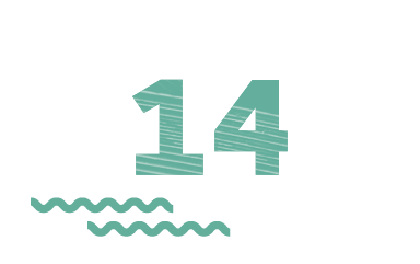 14