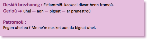 &nbsp;Deskiñ brezhoneg : Estlammiñ. Kaozeal diwar-benn fromoù. Gerioù : uhel — aon — pignat — ar prenestroù Patromoù : Pegen uhel eo ? Me ne’m eus ket aon da bignat uhel. 