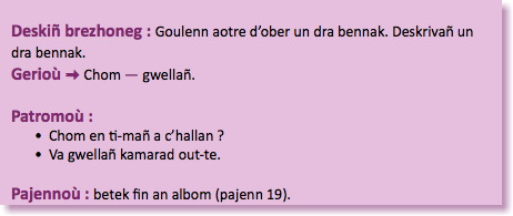 &nbsp;Deskiñ brezhoneg : Goulenn aotre d’ober un dra bennak. Deskrivañ un dra bennak.  Gerioù : Chom — gwellañ. Patromoù : Chom en ti-mañ a c’hallan ? Va gwellañ kamarad out-te. Pajennoù : betek fin an albom (pajenn 19).