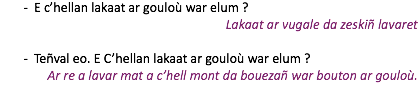 E c’hellan lakaat ar gouloù war elum ? Lakaat ar vugale da zeskiñ lavaret Teñval eo. E C’hellan lakaat ar gouloù war elum ? Ar re a lavar mat a c’hell mont da bouezañ war bouton ar gouloù. 